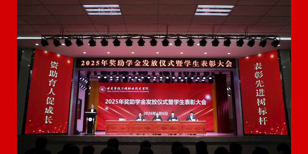 学院举行2025年奖助学金发放仪式暨学生表彰大会